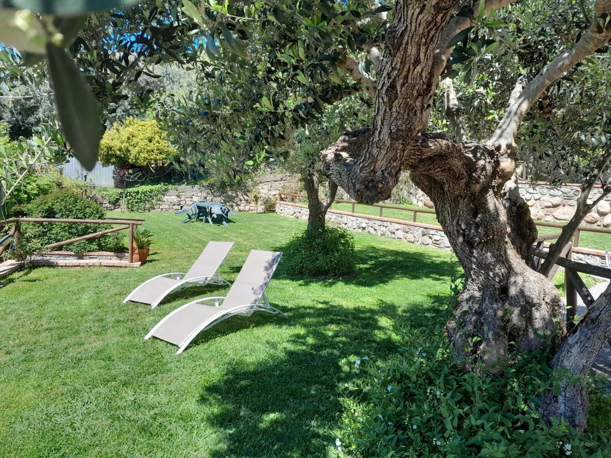Willa Casa Vacanze Dominella Marina Di Casal Velino Zewnętrze zdjęcie